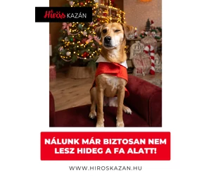 Karácsonyi időszak alatt se feledkezzen meg az otthon melegéről